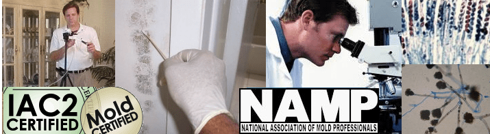 Mold Testing or Sampling US EPA